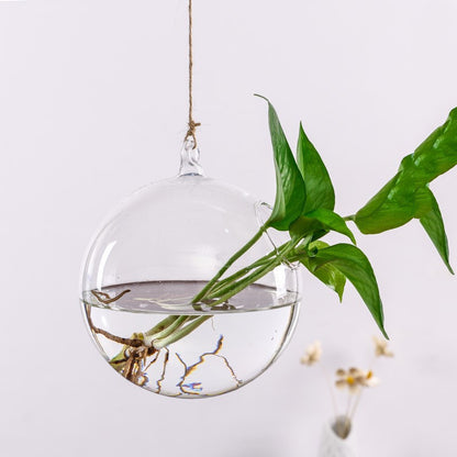 Transparent Hanging Hydroponic Vase – Glass Wall Planter for Plants & Aquascaping - Decor Cravings