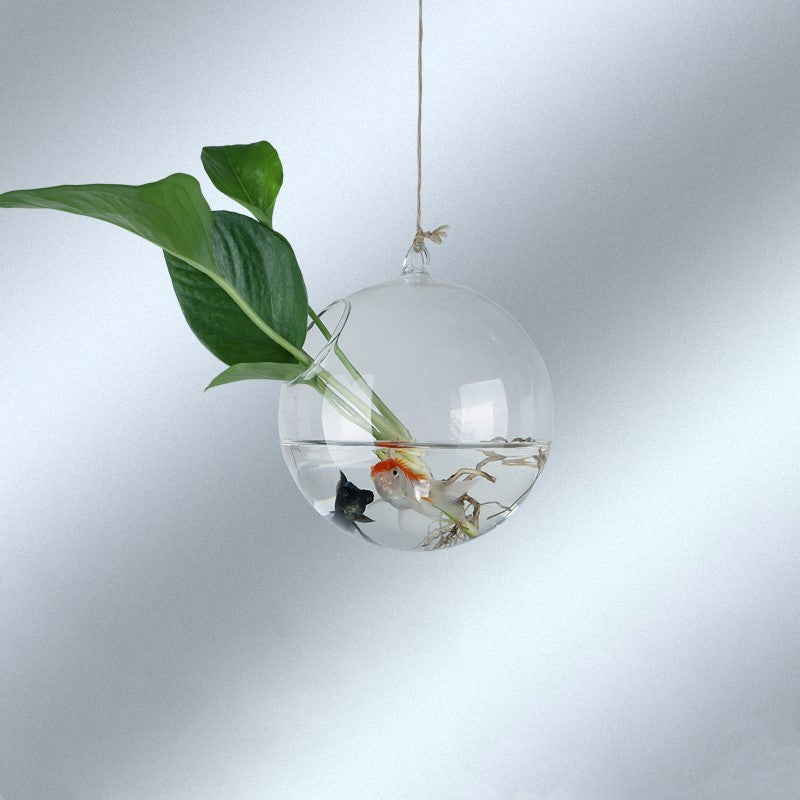 Transparent Hanging Hydroponic Vase – Glass Wall Planter for Plants & Aquascaping - Decor Cravings