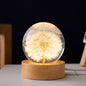 Luminous 3D Dandelion Globe – LED Crystal Ball with Wooden Base for Birthday & Christmas Gifts - Decor Cravings