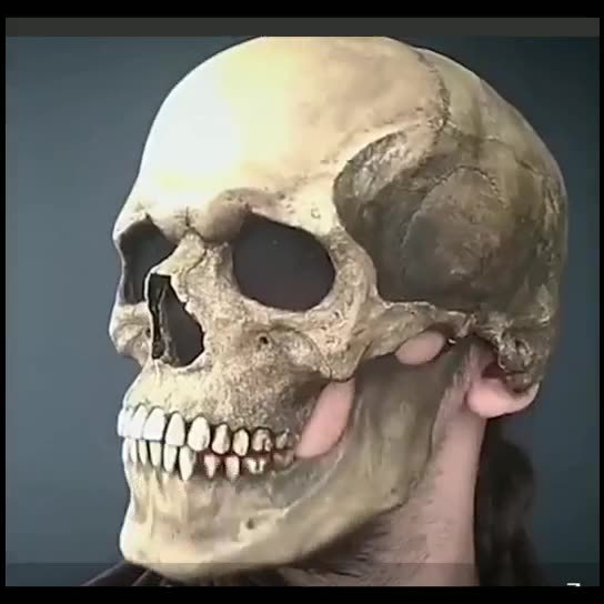 Full Head 3D Skull Mask Helmet with Movable Jaw – Horror Cosplay Skeleton Mask for Adults - Decor Cravings