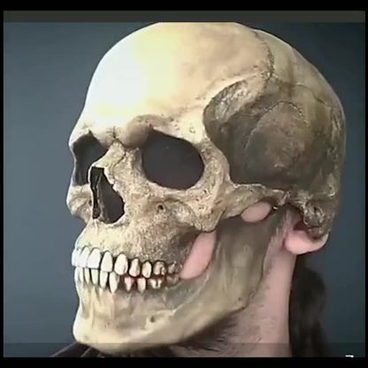 Full Head 3D Skull Mask Helmet with Movable Jaw – Horror Cosplay Skeleton Mask for Adults - Decor Cravings