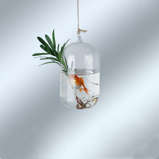 Transparent Hanging Hydroponic Vase – Glass Wall Planter for Plants & Aquascaping - Decor Cravings