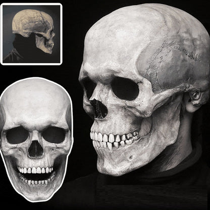 Full Head 3D Skull Mask Helmet with Movable Jaw – Horror Cosplay Skeleton Mask for Adults - Decor Cravings