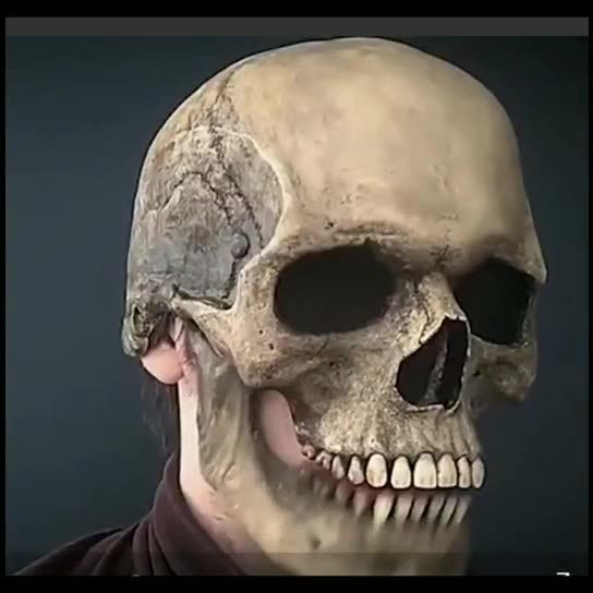 Full Head 3D Skull Mask Helmet with Movable Jaw – Horror Cosplay Skeleton Mask for Adults - Decor Cravings