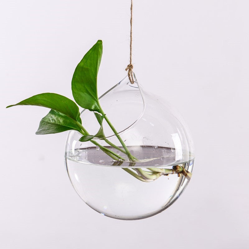 Transparent Hanging Hydroponic Vase – Glass Wall Planter for Plants & Aquascaping - Decor Cravings