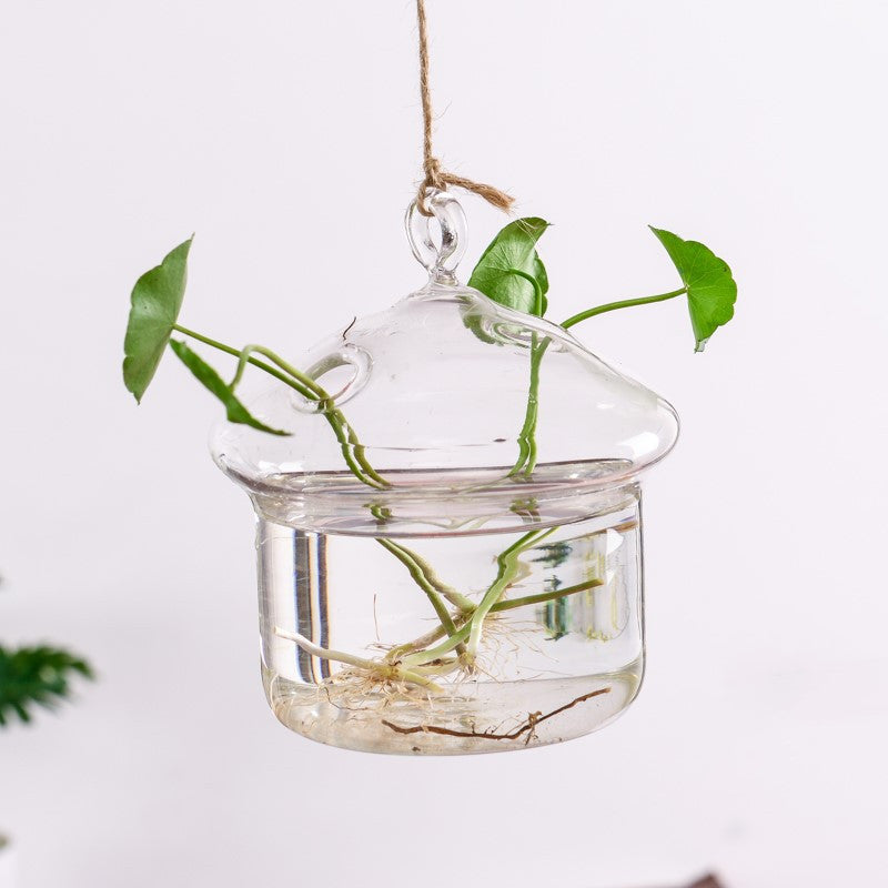 Transparent Hanging Hydroponic Vase – Glass Wall Planter for Plants & Aquascaping - Decor Cravings