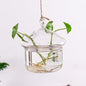 Transparent Hanging Hydroponic Vase – Glass Wall Planter for Plants & Aquascaping - Decor Cravings