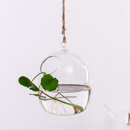 Transparent Hanging Hydroponic Vase – Glass Wall Planter for Plants & Aquascaping - Decor Cravings