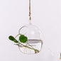 Transparent Hanging Hydroponic Vase – Glass Wall Planter for Plants & Aquascaping - Decor Cravings